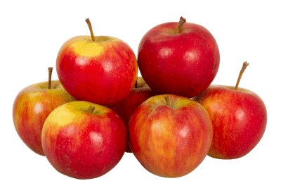 Äpfel Elstar, Öhringen, Hohenlohe, 1 kg