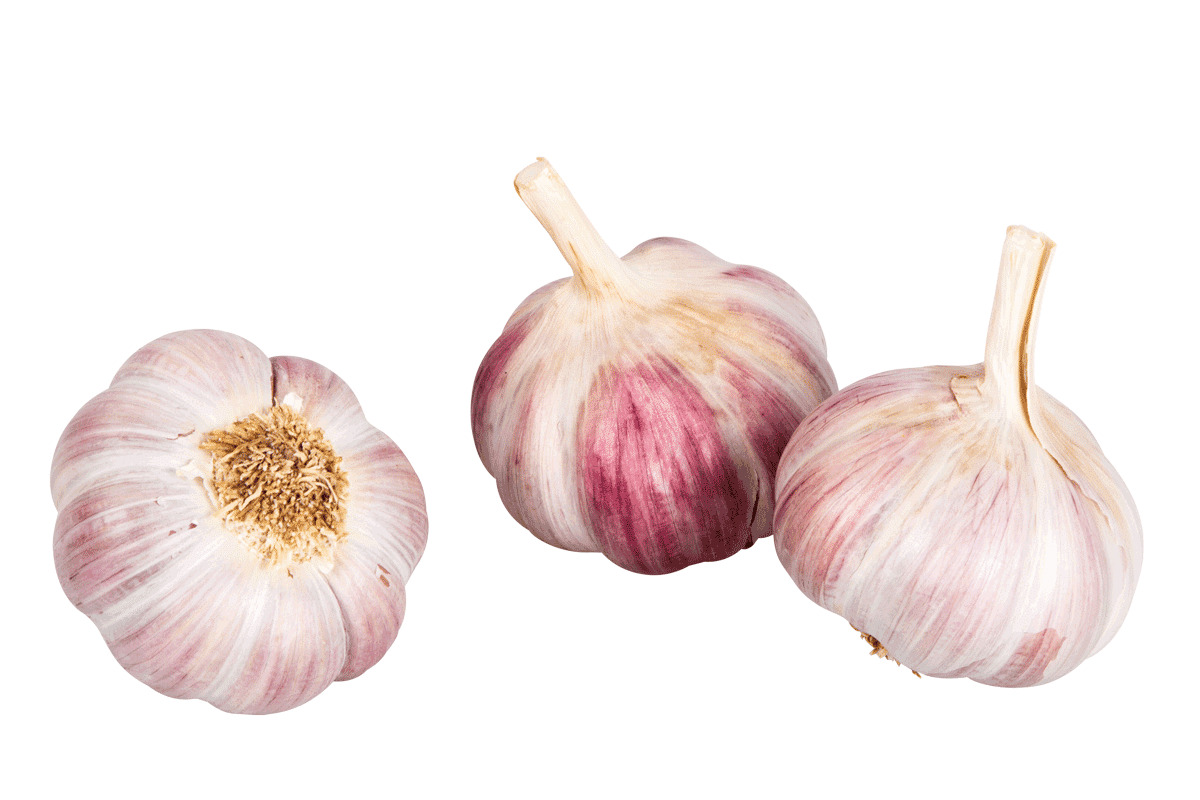 Frischer Knoblauch, Deutschland, Stück