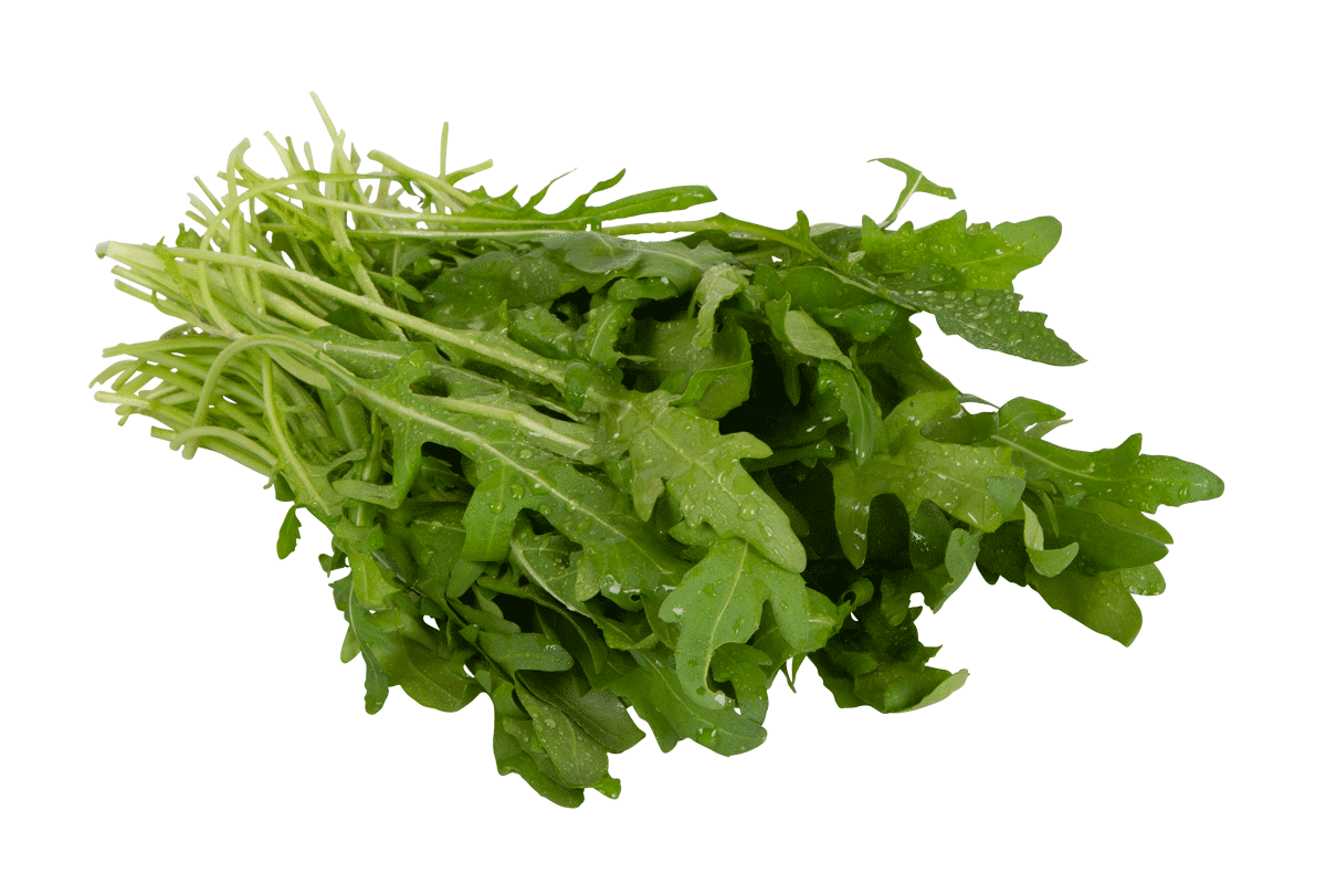 Rucola, Gärtnerei Kiemle, Bietigheim, Bund