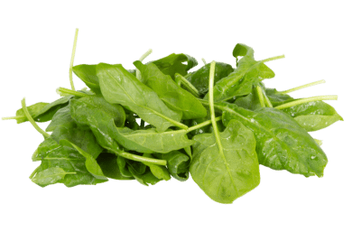 Frischer Spinat, Hofmarkt Schmid, Waiblingen-Beinstein, 500g