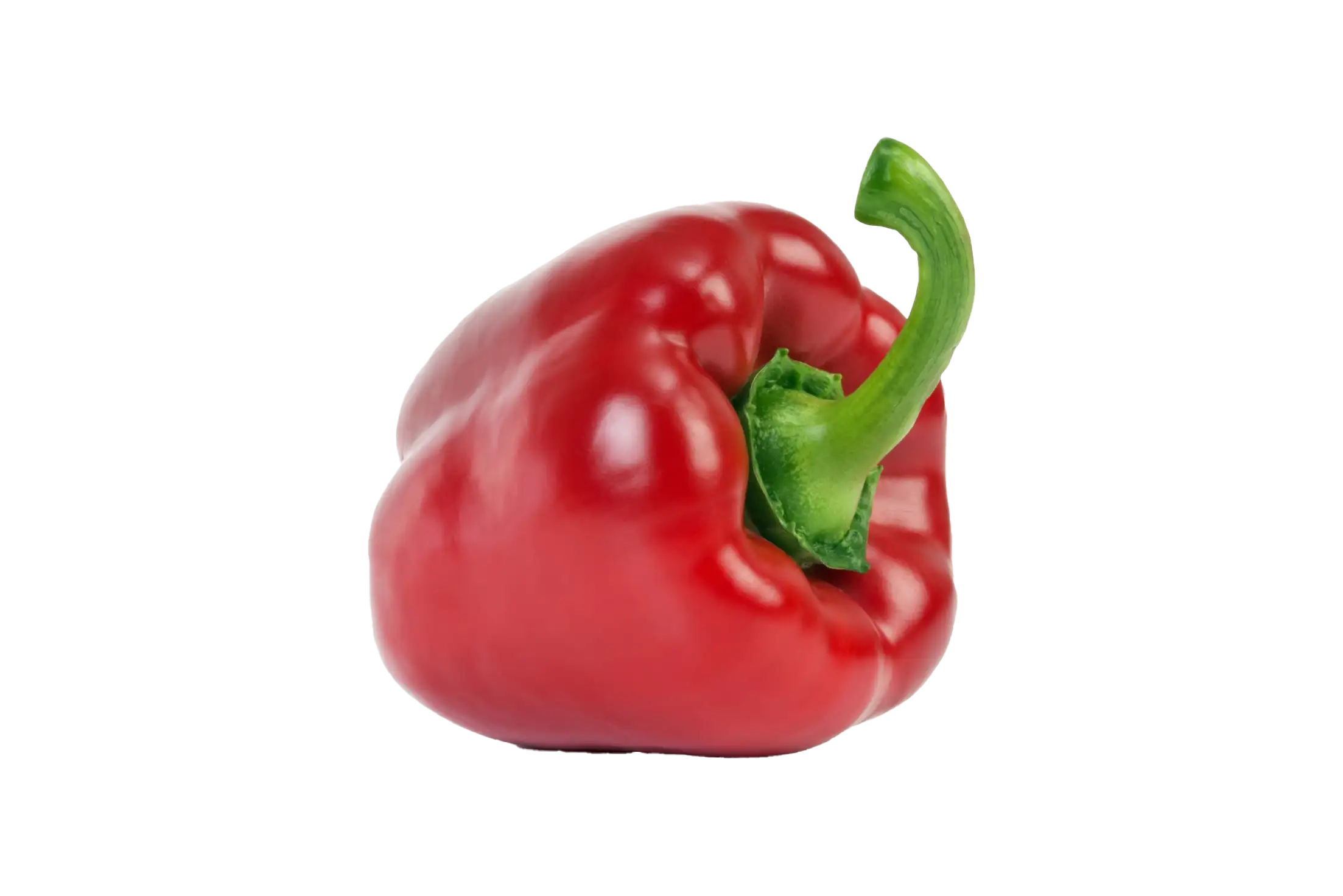 Paprika rot, Gärtnerei Kiemle, Bietigheim, Stück